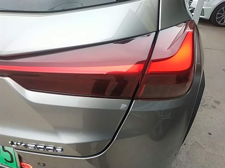 Lexus UX Hybrid 2020 2020款 300e 纯·享版