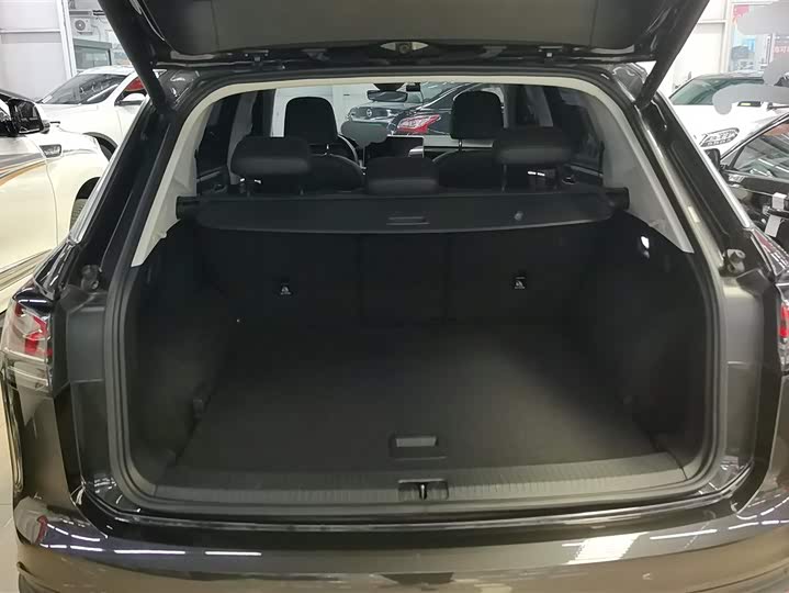 Volkswagen Tayron 2024 2024款 330TSI 两驱豪华Plus进阶版