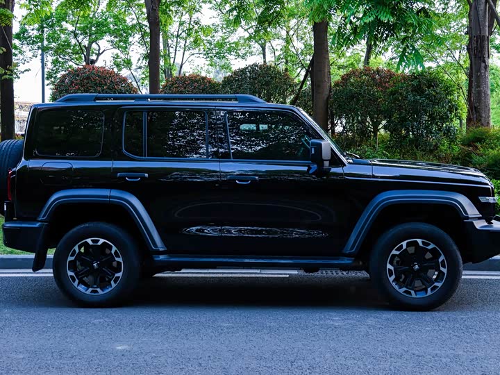 Tank 300 Hybrid 2025 2025款 Hi4-T 37.1kWh