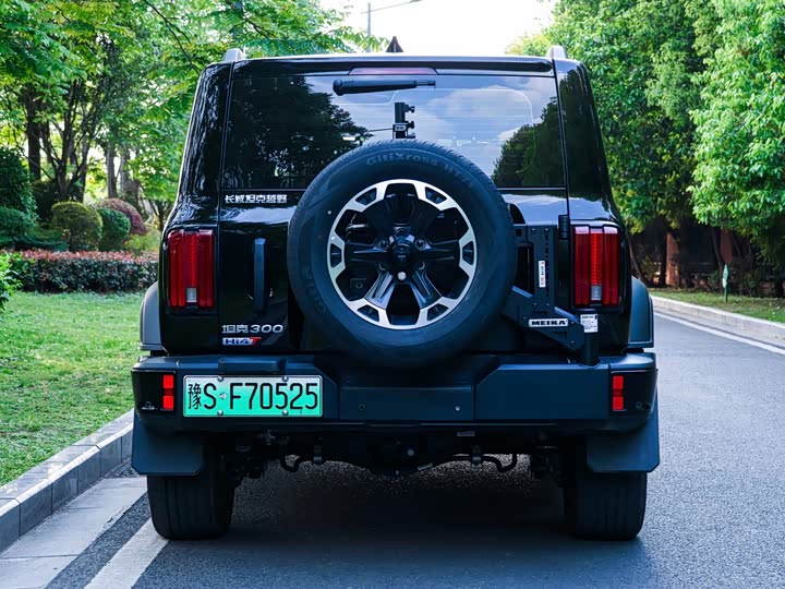Tank 300 Hybrid 2025 2025款 Hi4-T 37.1kWh