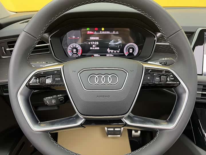 Audi Q6 2025 2025款 40 TFSI quattro 纪念版 羽林套装 7座