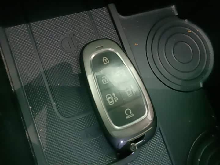 Hyundai Palisade 2023 2023款 3.5L 自动四驱 鉴赏家增配版