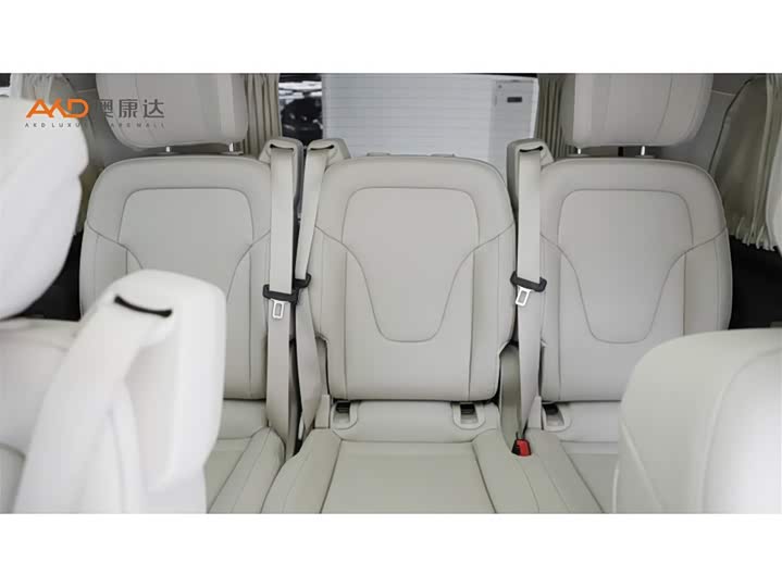 Mercedes-Benz V-Class 2022 2022款 V 260 尊贵版