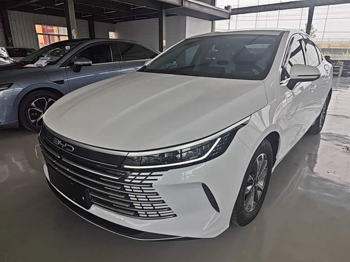 BYD Destroyer 05 2024 2024款 荣耀版 DM-i 55KM 豪华型
