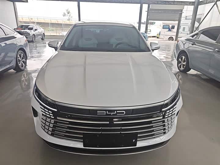 BYD Destroyer 05 2024 2024款 荣耀版 DM-i 55KM 豪华型