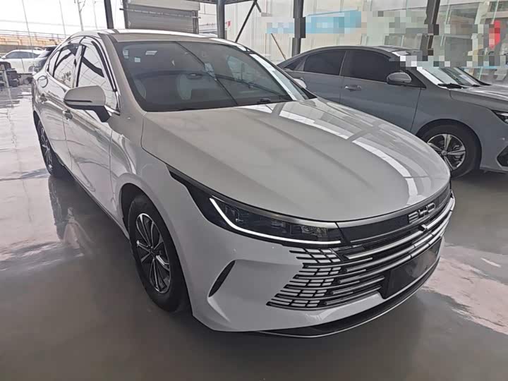 BYD Destroyer 05 2024 2024款 荣耀版 DM-i 55KM 豪华型