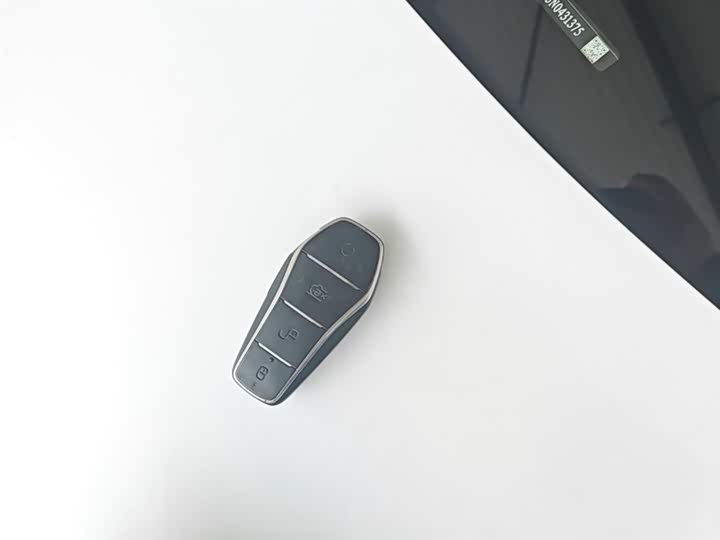 BYD Destroyer 05 2024 2024款 荣耀版 DM-i 55KM 豪华型