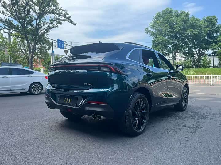 Фото 8 - Dongfeng Forthing T5 EVO