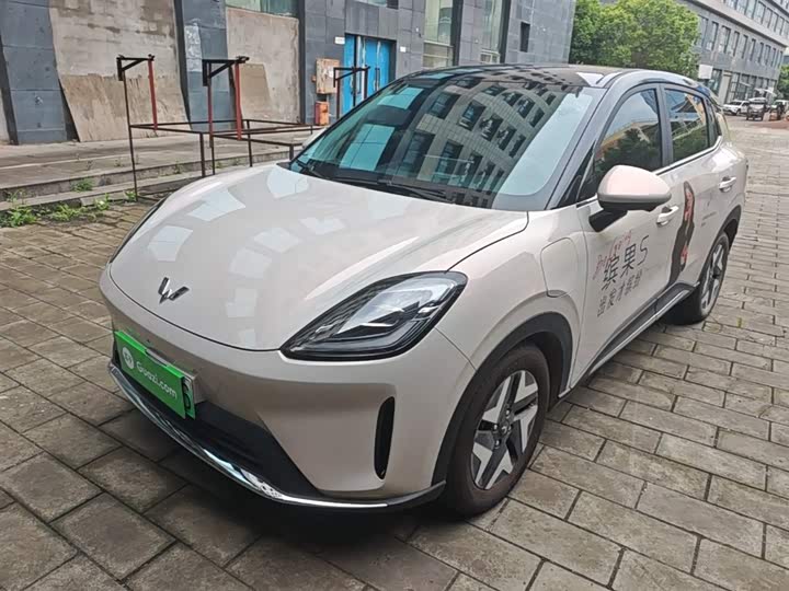 Wuling Bingo S 2025 2025款 430km 旗舰款