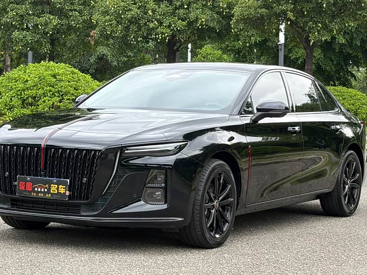 Hongqi H5 2025 2025款 2.0T 自动玄影200万辆纪念版
