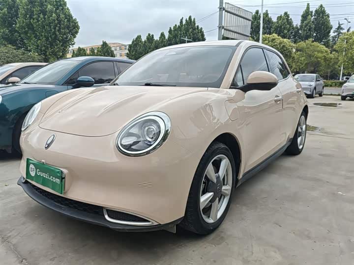 Ora Good Cat (03) 2023 2023款 401km标准续航 豪华型 磷酸铁锂