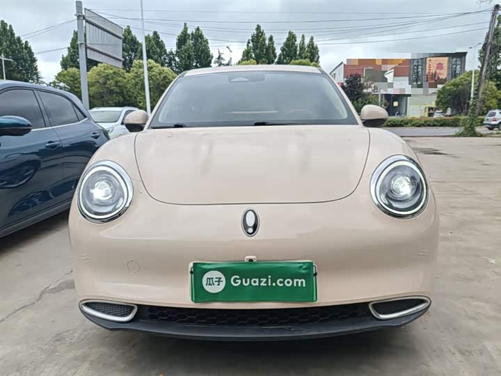 Ora Good Cat (03) 2023 2023款 401km标准续航 豪华型 磷酸铁锂