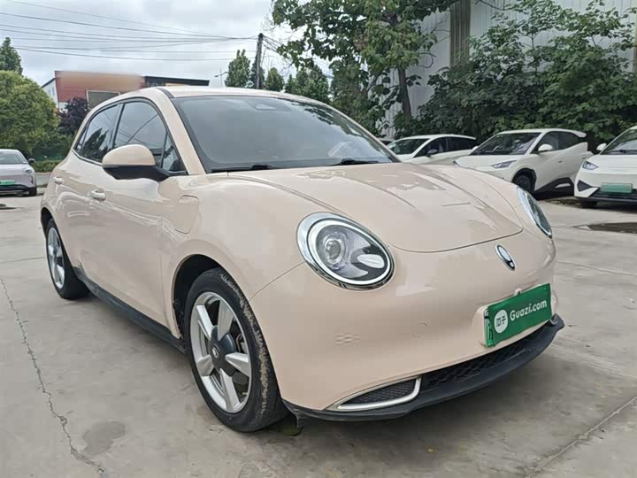 Ora Good Cat (03) 2023 2023款 401km标准续航 豪华型 磷酸铁锂