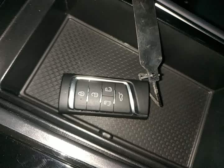 GAC Trumpchi M8 2021 2021款 领秀系列 390T 至尊版