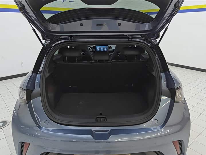 Фото 4 - BYD Dolphin