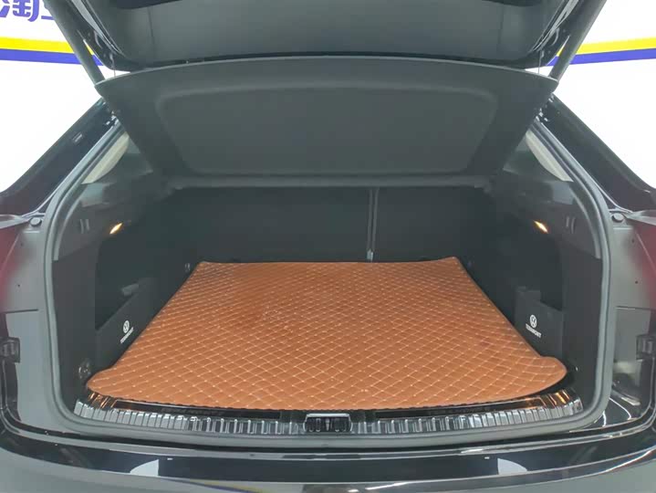 صورة 4 - Volkswagen Teramont X