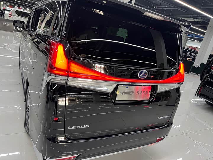 Фото 7 - Lexus LM