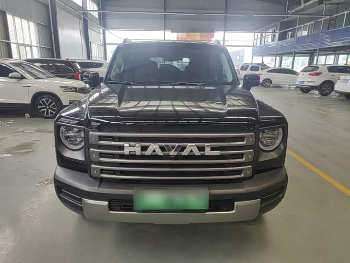 Haval Raptor Hybrid 2024 2024款 Hi4 145 Pro