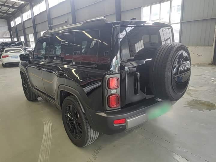 Haval Raptor Hybrid 2024 2024款 Hi4 145 Pro