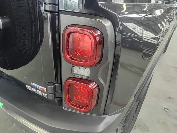 Haval Raptor Hybrid 2024 2024款 Hi4 145 Pro