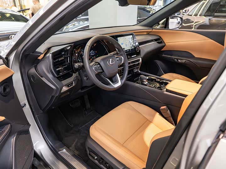 Lexus RX 2025 2025款 300 四驱骏享版