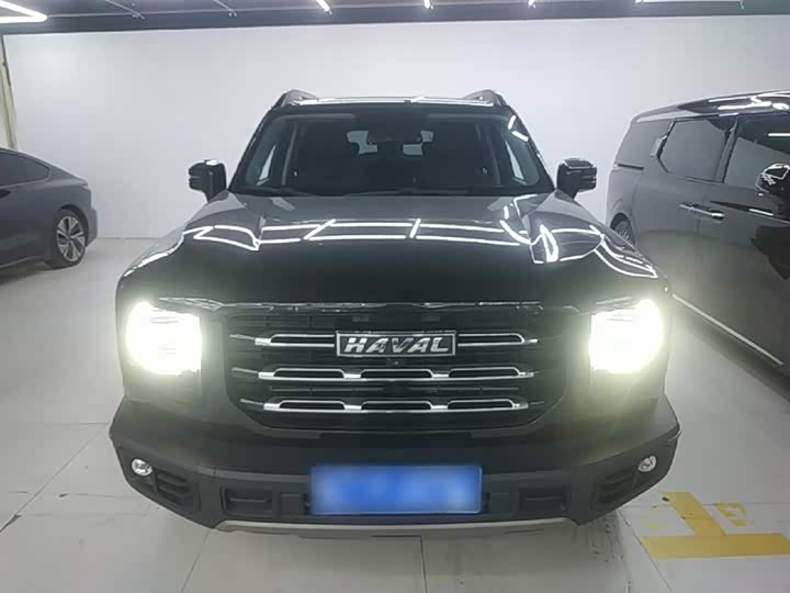Фото 3 - Haval Dargo