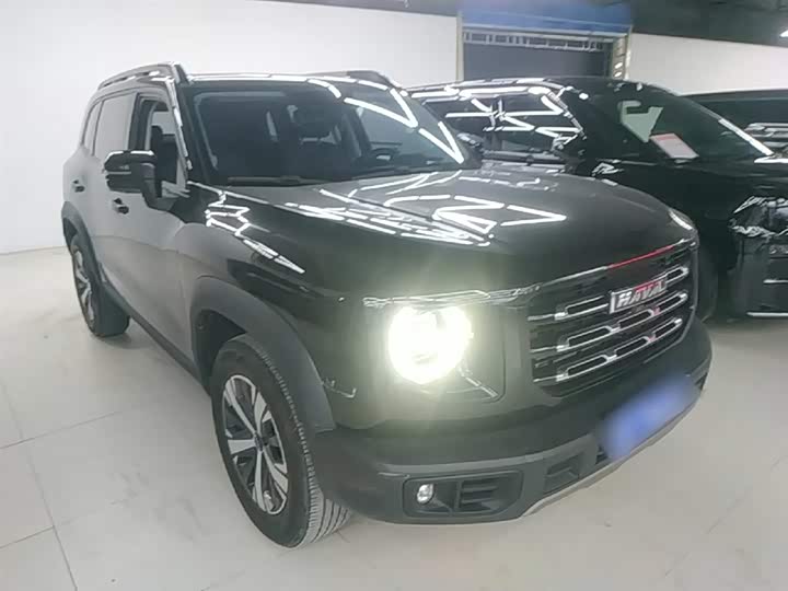 Фото 4 - Haval Dargo