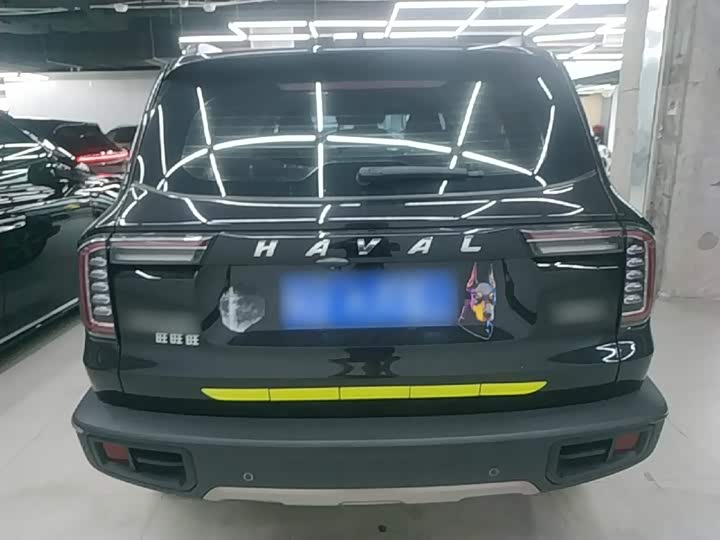 Фото 6 - Haval Dargo