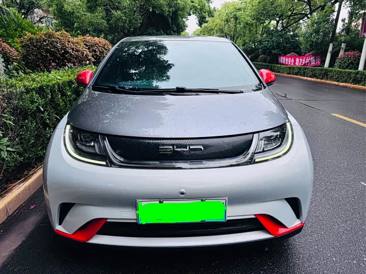 Фото 2 - BYD Dolphin