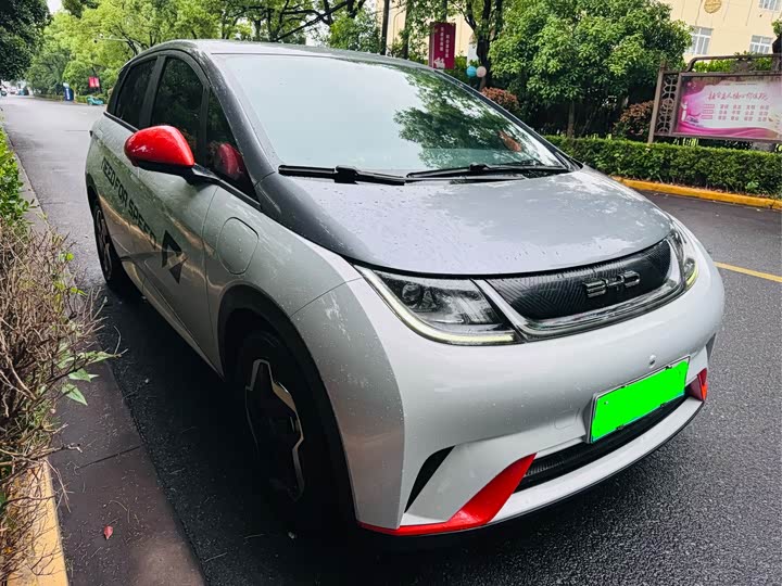 Фото 3 - BYD Dolphin