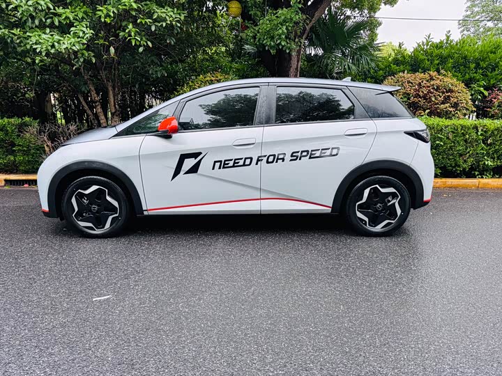 Фото 4 - BYD Dolphin