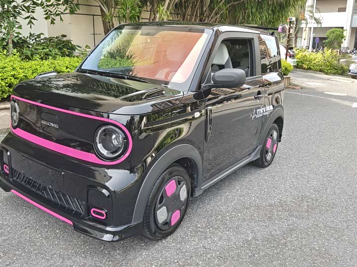 2025 Geely Galaxy Panda Mini