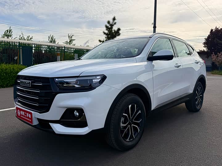 Haval H6 2025 2025款 1.5T 国潮都市版