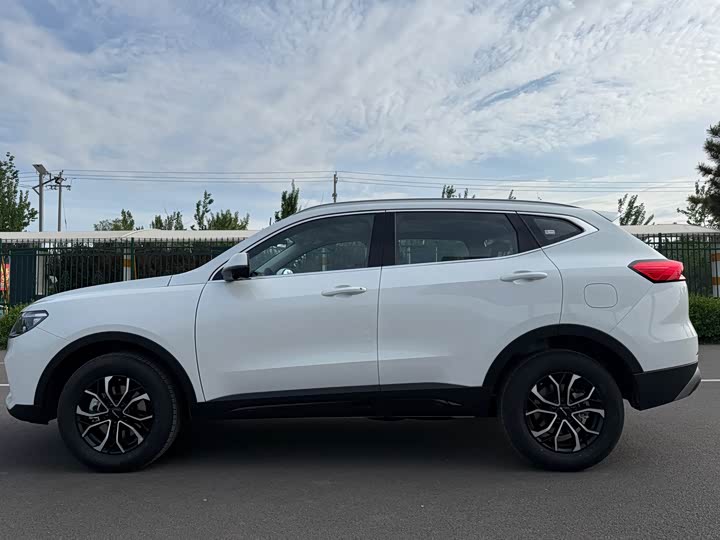 Haval H6 2025 2025款 1.5T 国潮都市版