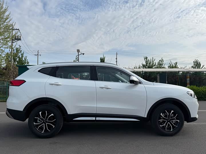 Haval H6 2025 2025款 1.5T 国潮都市版
