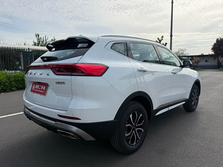 Haval H6 2025 2025款 1.5T 国潮都市版