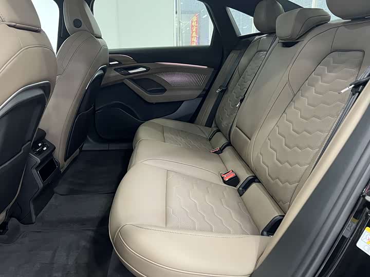 Audi A6L Hybrid 2022 2022款 55 TFSI e quattro
