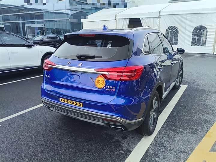 Фото 7 - Hongqi HS5