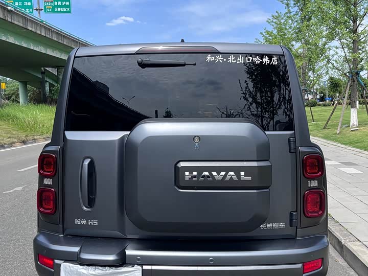 Haval H9 2024 2024款 2.4T 柴油四驱极境版