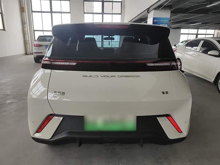 Фото 6 - BYD Seagull