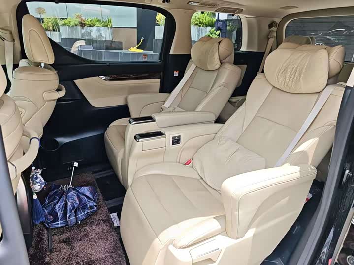 Toyota Alphard 2021 2021款 双擎 2.5L 豪华版