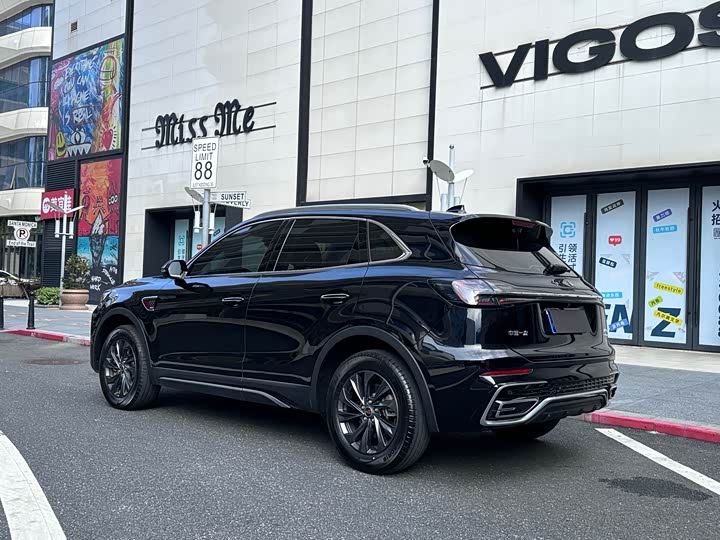 Zdjęcie 5 - Hongqi HS5