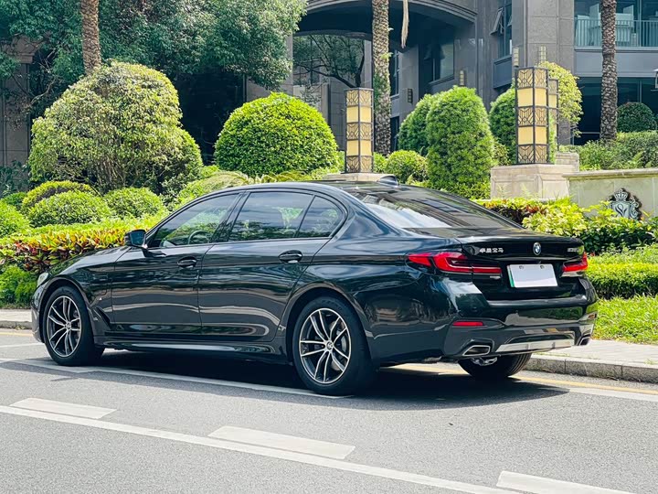 Фото 4 - BMW 5 Series Hybrid