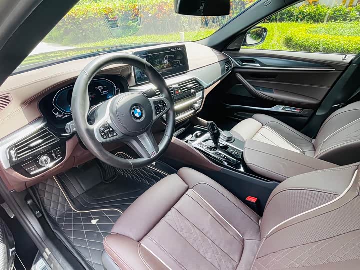Фото 8 - BMW 5 Series Hybrid
