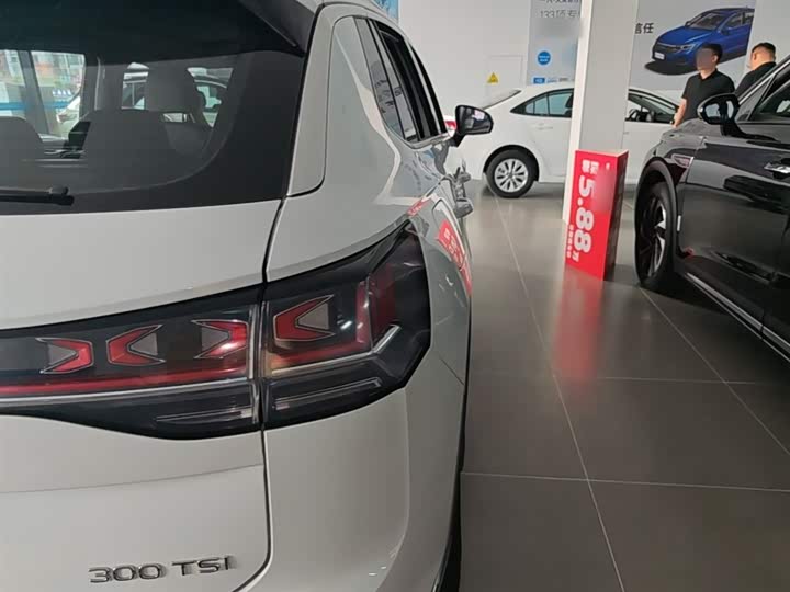 Volkswagen Tayron 2024 2024款 300TSI 两驱豪华Plus进阶版