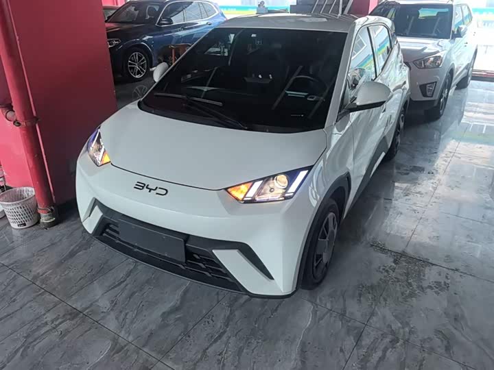 Zdjęcie 2 - BYD Seagull