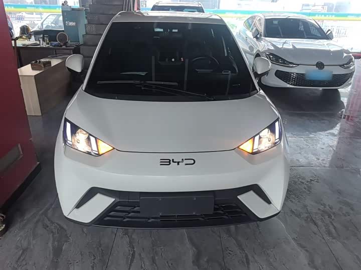 Zdjęcie 3 - BYD Seagull