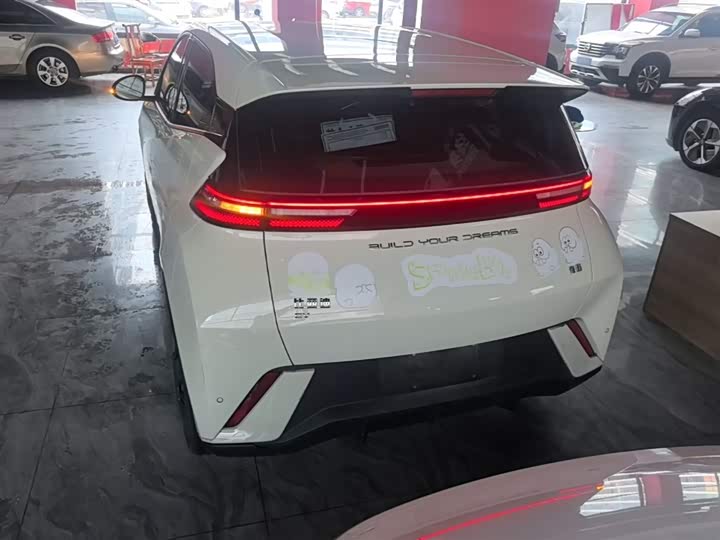 Zdjęcie 6 - BYD Seagull