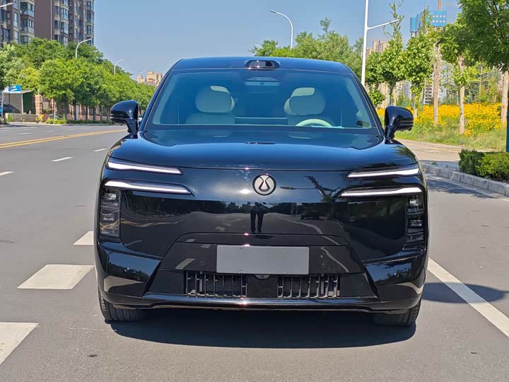 2025 Denza N8L