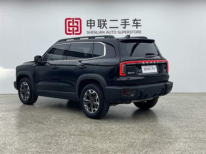 Фото 3 - Haval Dargo
